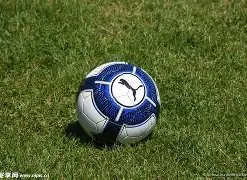 足球场上的,逗趣对决,费迪南德与,HuaTiHui,Sports,华体会体育,华体会体育入口,华体会体育官网,华体会体育APP下载