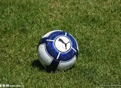 王楚钦退赛,引关注,莫雷加德寄,HuaTiHui,Sports,华体会体育,华体会体育入口,华体会体育官网,华体会体育APP下载