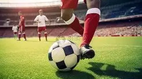 “国脚闪耀，外援深情寄语球迷，精彩“中国赛季”绽放网球世界——环球时报”